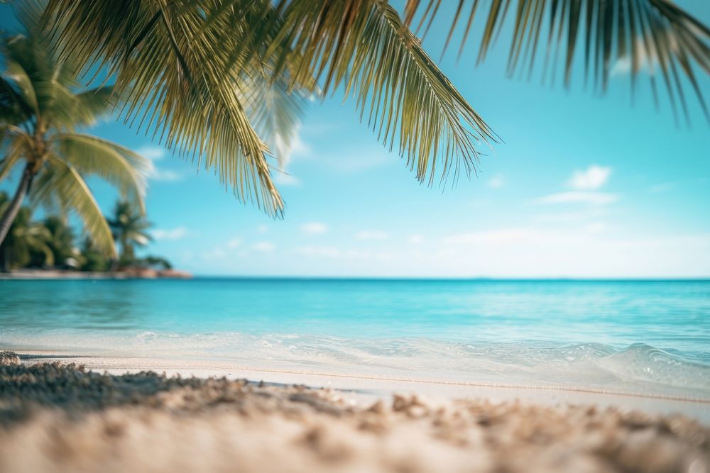 Tropical beach tree outdoors tropics. AI generated Image by rawpixel.