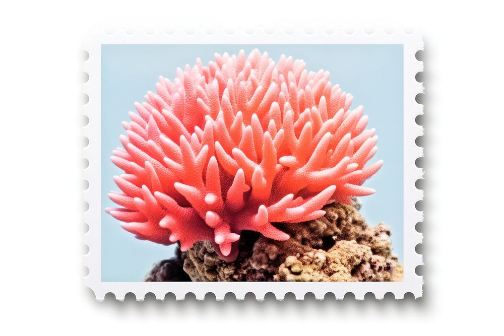 Coral nature flower postage stamp. AI generated Image by rawpixel.