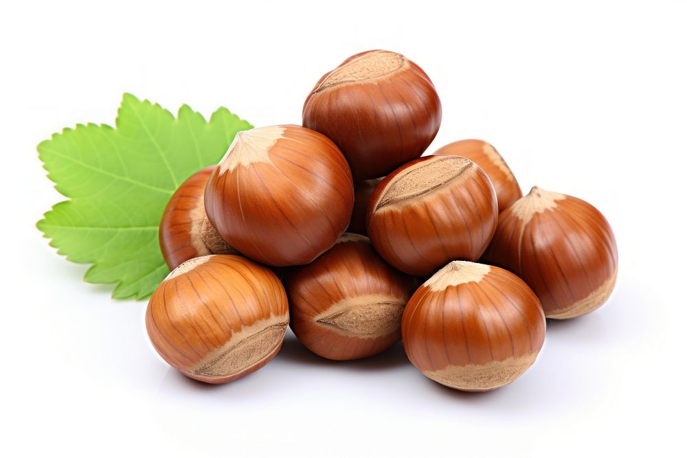 Hazelnuts vegetable plant food. AI generated Image by rawpixel.