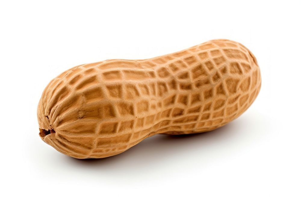 Peanut food white background freshness. AI generated Image by rawpixel.