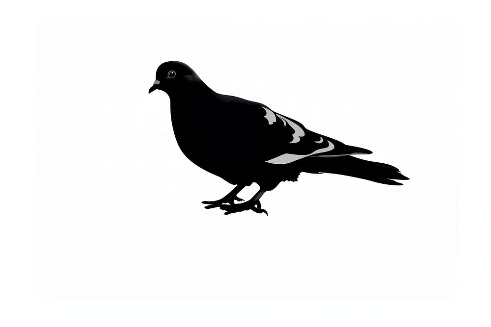 Pigeon Silhouette pigeon silhouette animal. AI generated Image by rawpixel.