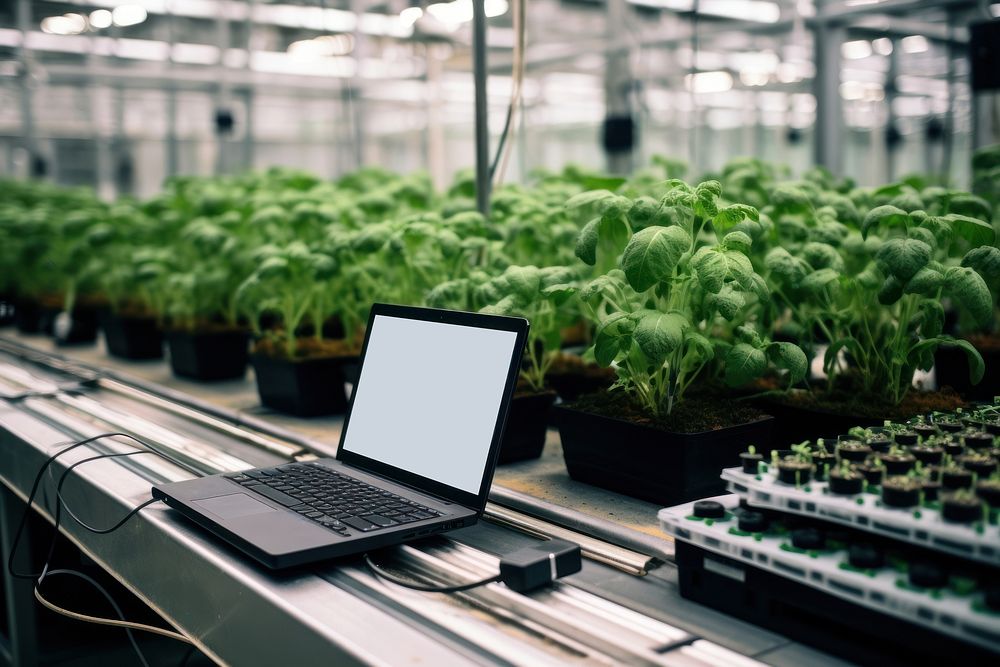 Plant agriculture technology greenhouse. AI generated Image by rawpixel.