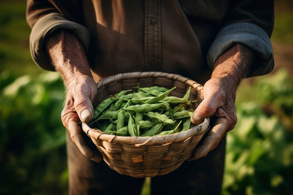 Organic farmer basket adult. AI generated Image by rawpixel.
