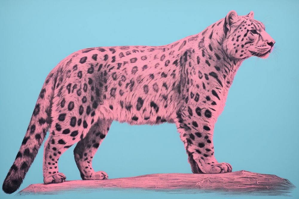 Leopard animal mammal snow leopard. AI generated Image by rawpixel.