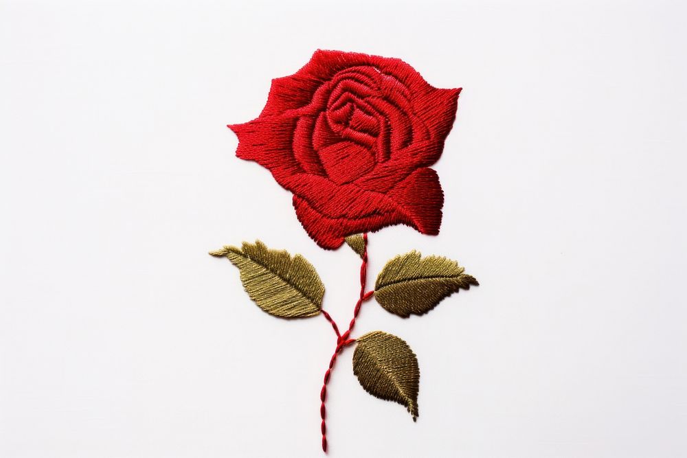 Rose flower plant leaf. AI generated Image by rawpixel.