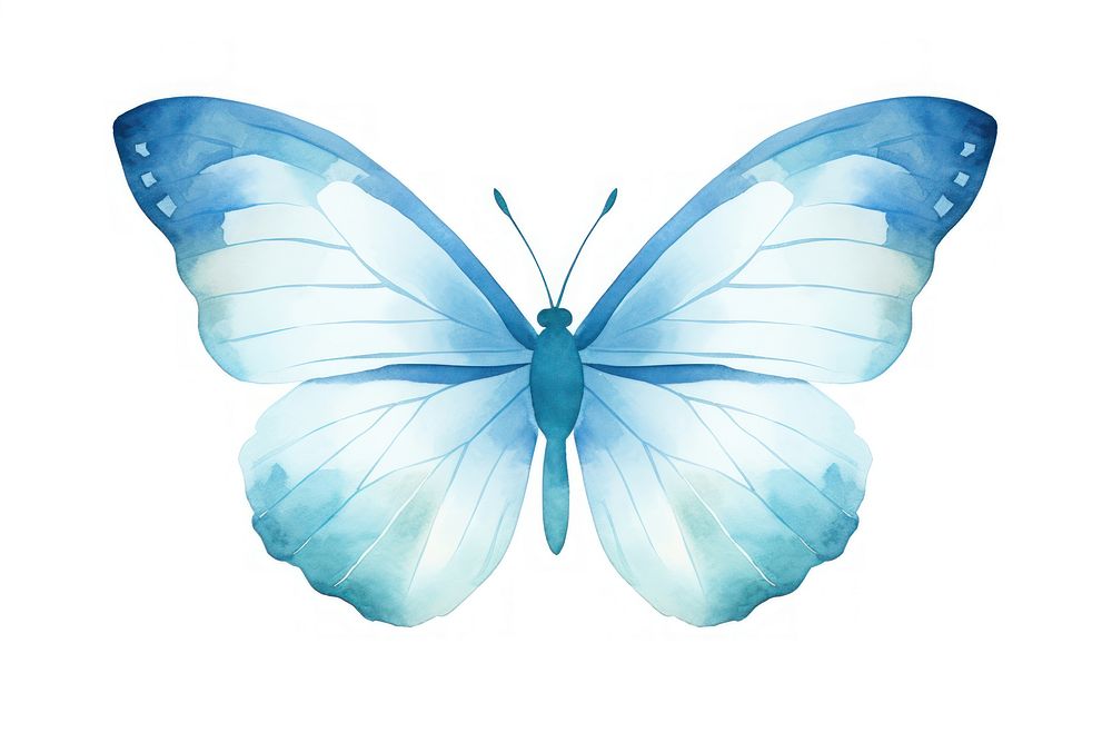 Cute Butterflie Butterfly Insect Animal. 