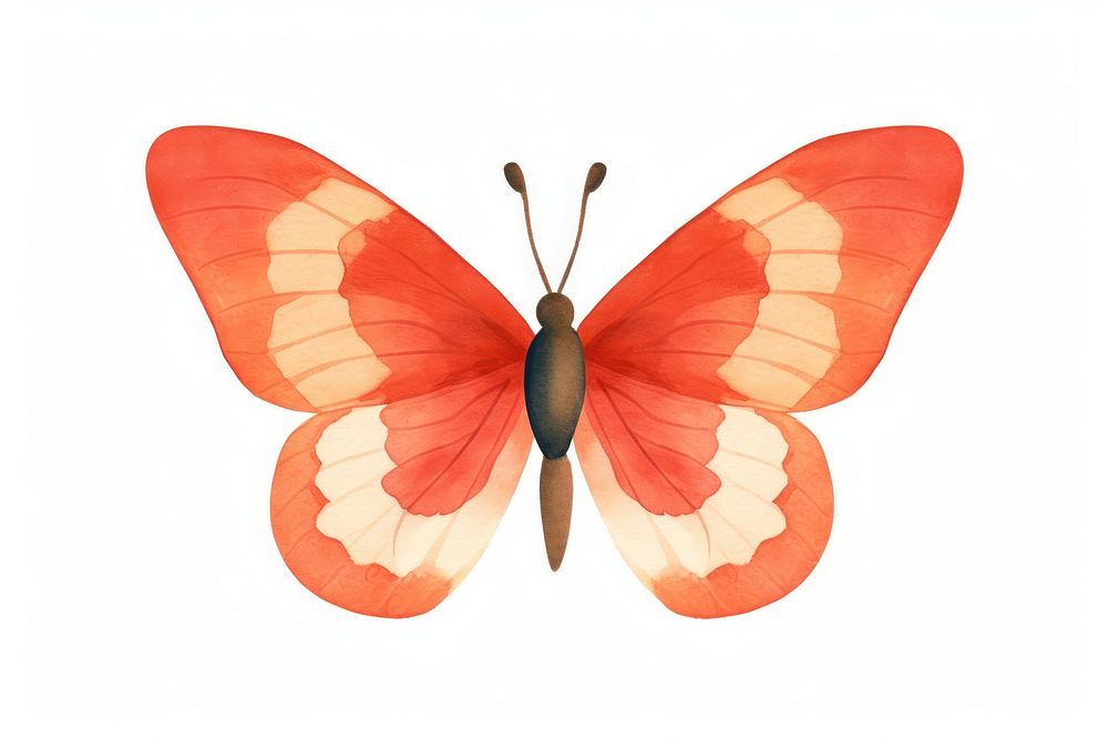 Cute butterflie butterfly insect animal. AI generated Image by rawpixel.