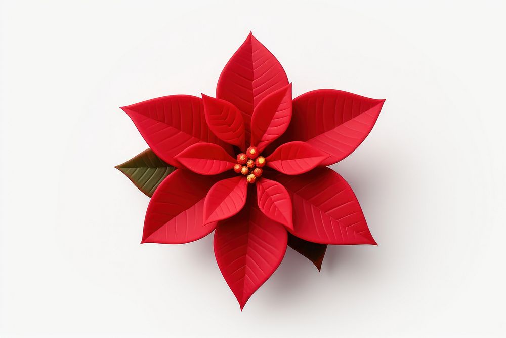 Poinsettia flower plant leaf. AI generated Image by rawpixel.