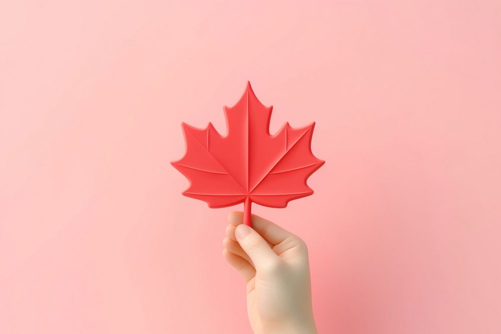 Hand holding a maple leaf plant solution finger. AI generated Image by rawpixel.