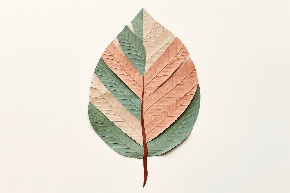 Leaf cordate plant creativity fragility. AI generated Image by rawpixel.