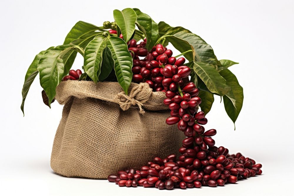 Bag coffee food tree. AI generated Image by rawpixel.