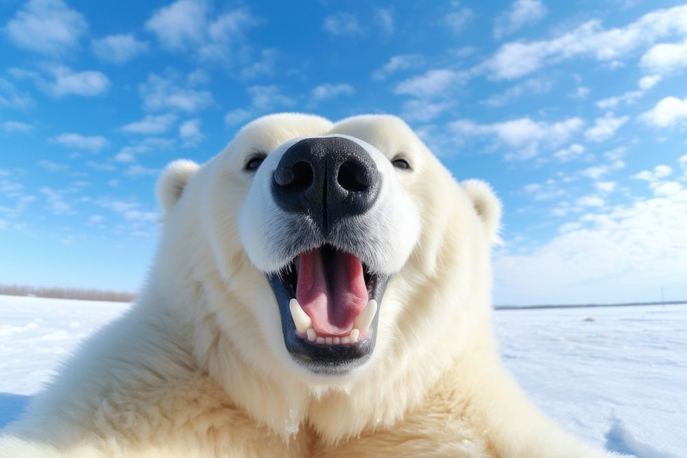 Happy smiling ice bear mammal animal blue. AI generated Image by rawpixel.