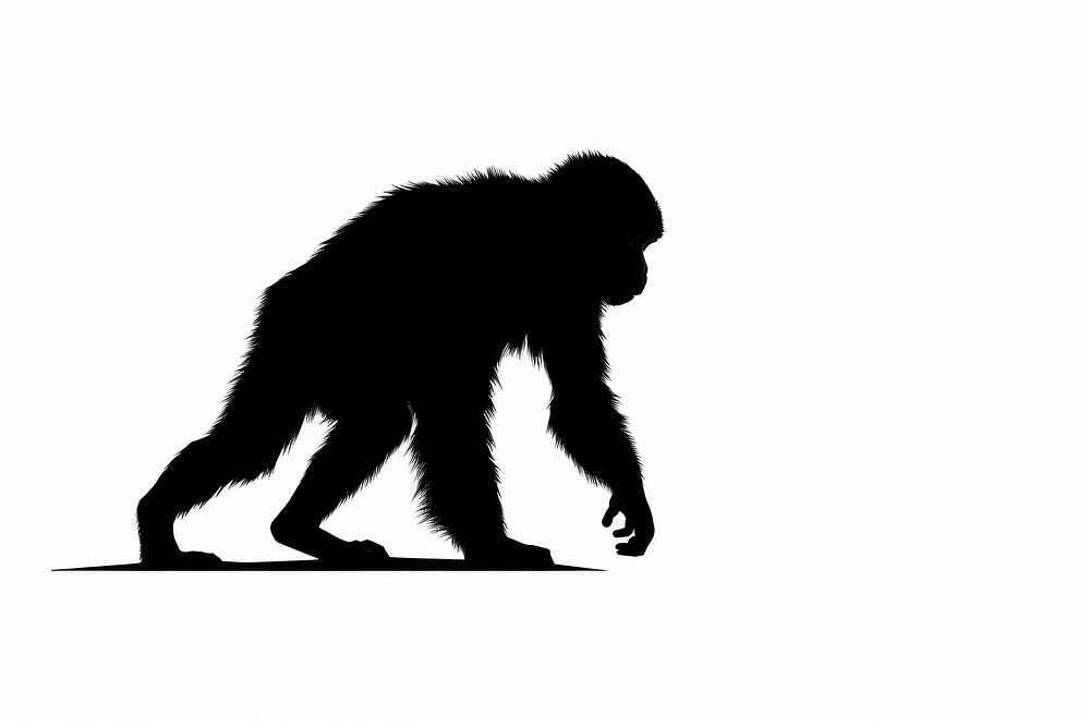 Walking monkey silhouette wildlife mammal. AI generated Image by rawpixel.