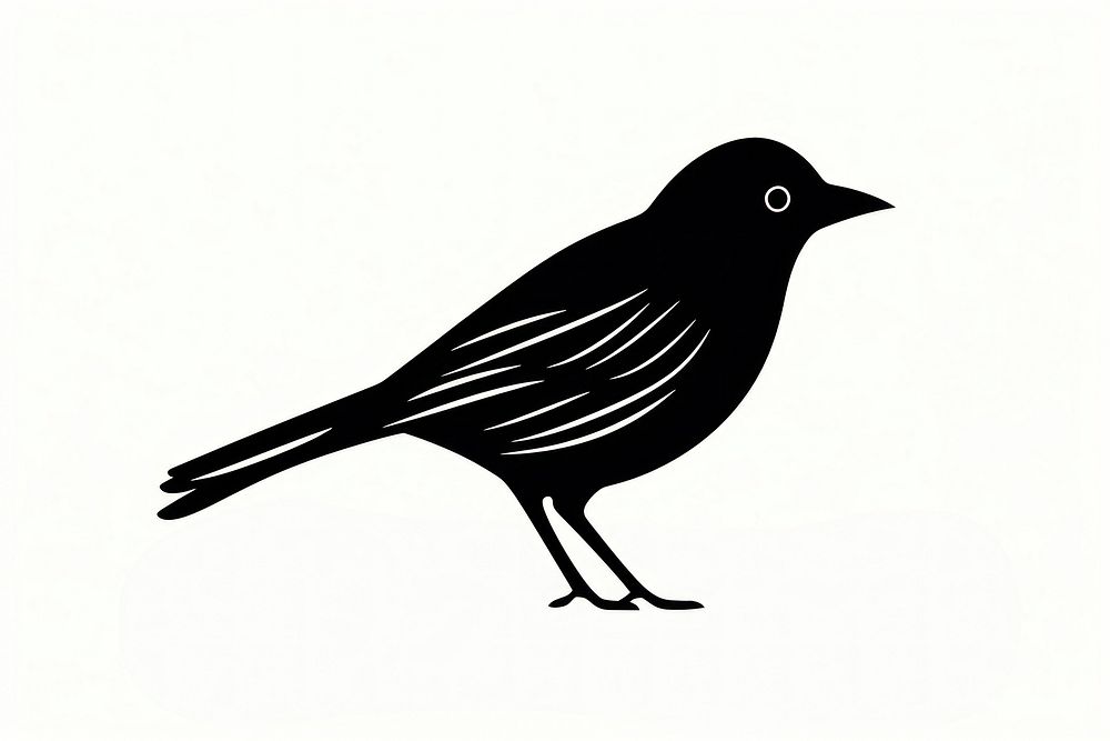 Bird silhouette blackbird animal. AI generated Image by rawpixel.