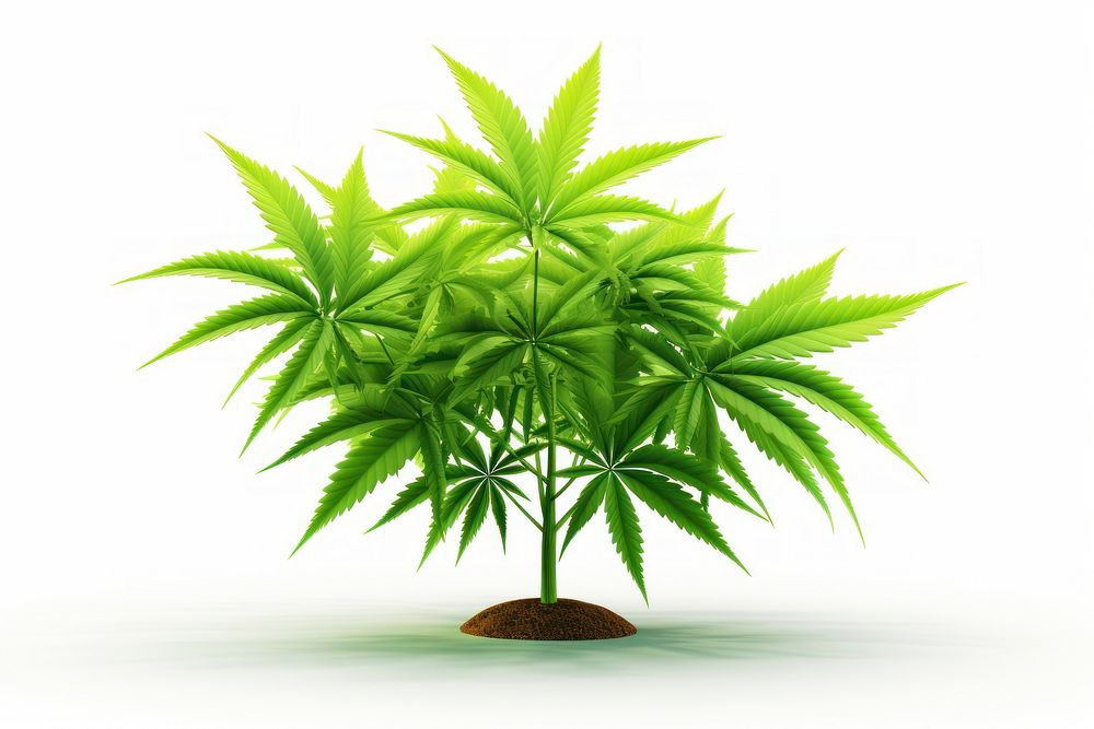 Marijuana 3d cartoon realistic plant leaf tree. AI generated Image by rawpixel.