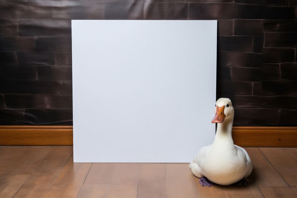 Duck white bird waterfowl. AI generated Image by rawpixel.