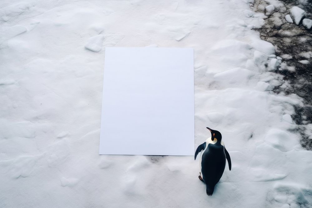 Penguin paper white bird. AI generated Image by rawpixel.