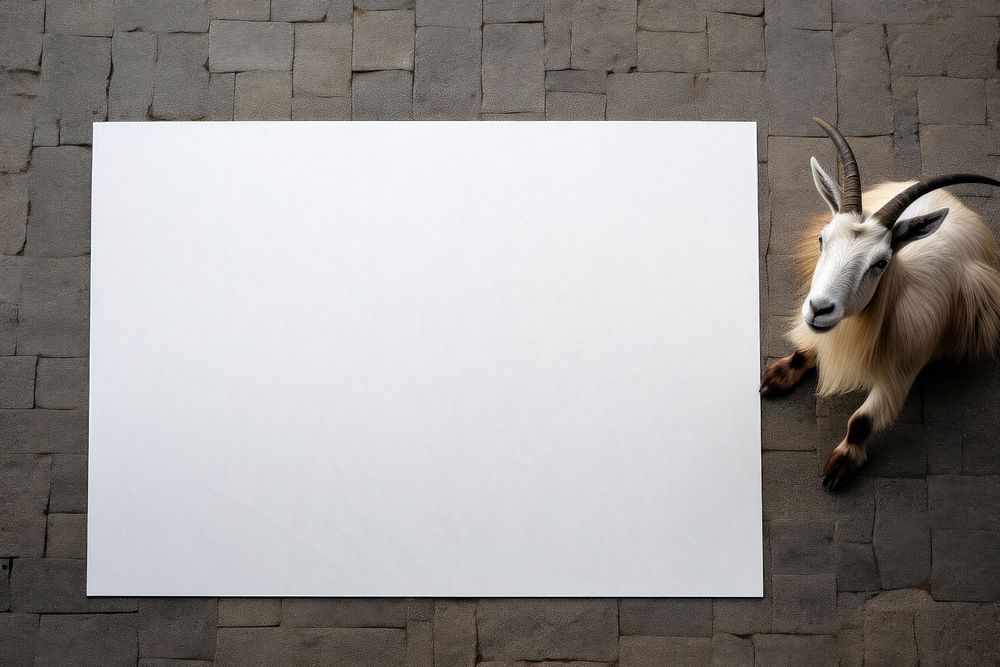 Goat animal mammal paper. AI generated Image by rawpixel.