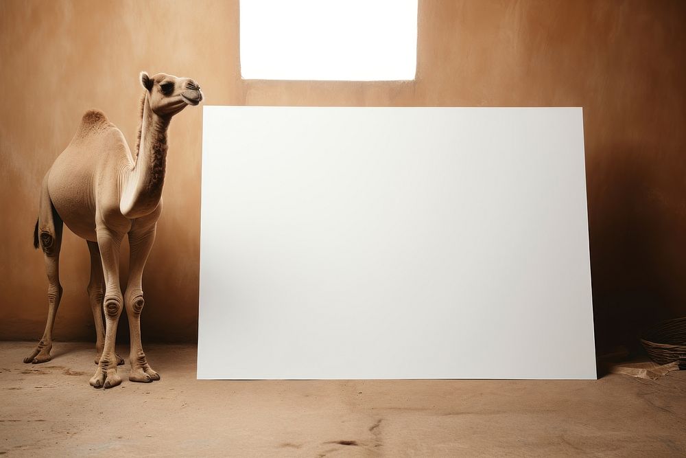 Camel camel giraffe animal. AI generated Image by rawpixel.