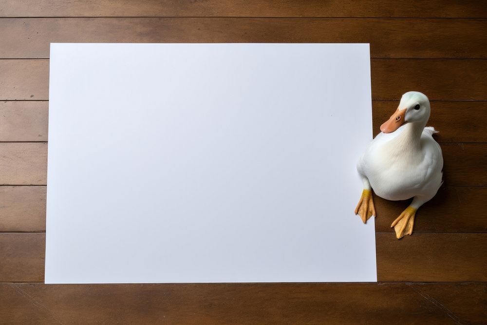 Duck animal paper white. AI generated Image by rawpixel.