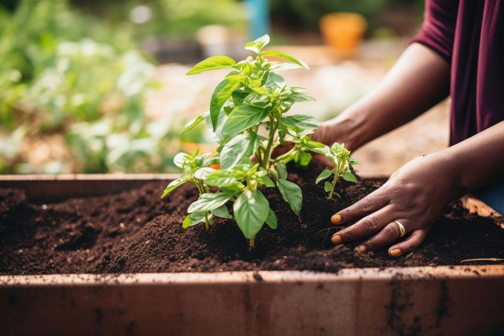 Garden planting gardening outdoors. AI generated Image by rawpixel.