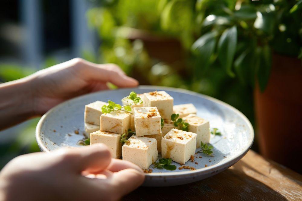 Tofu cheese eating plate. AI generated Image by rawpixel.