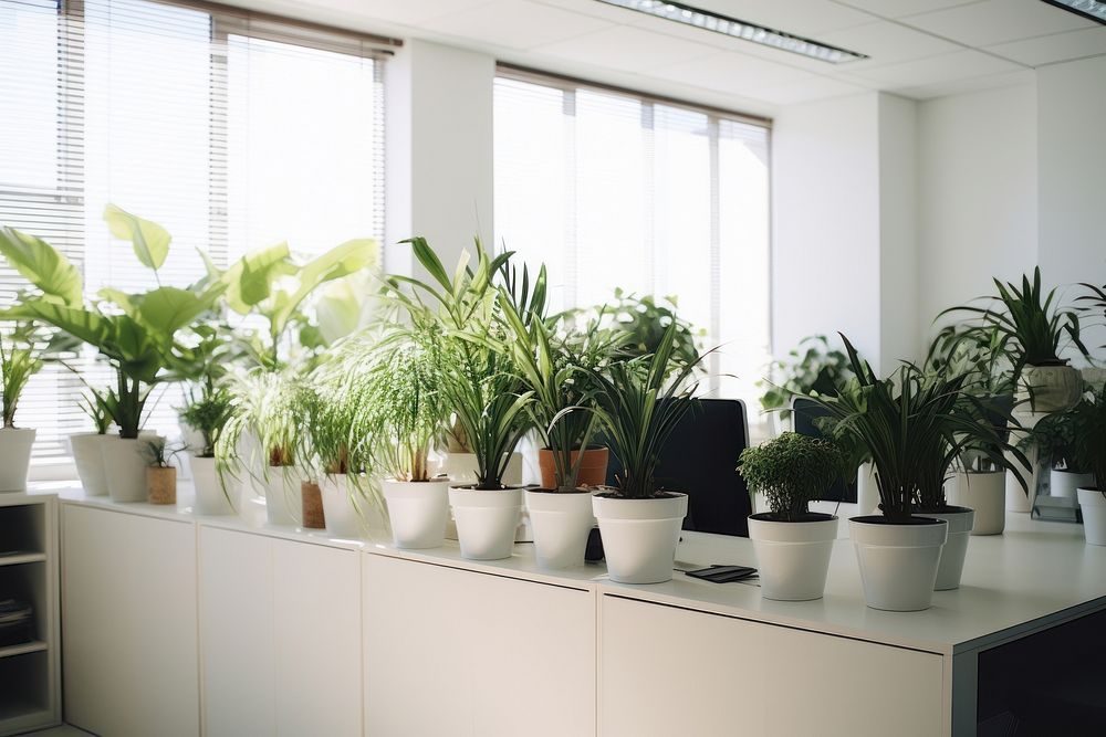 Garden windowsill indoors office. AI generated Image by rawpixel.