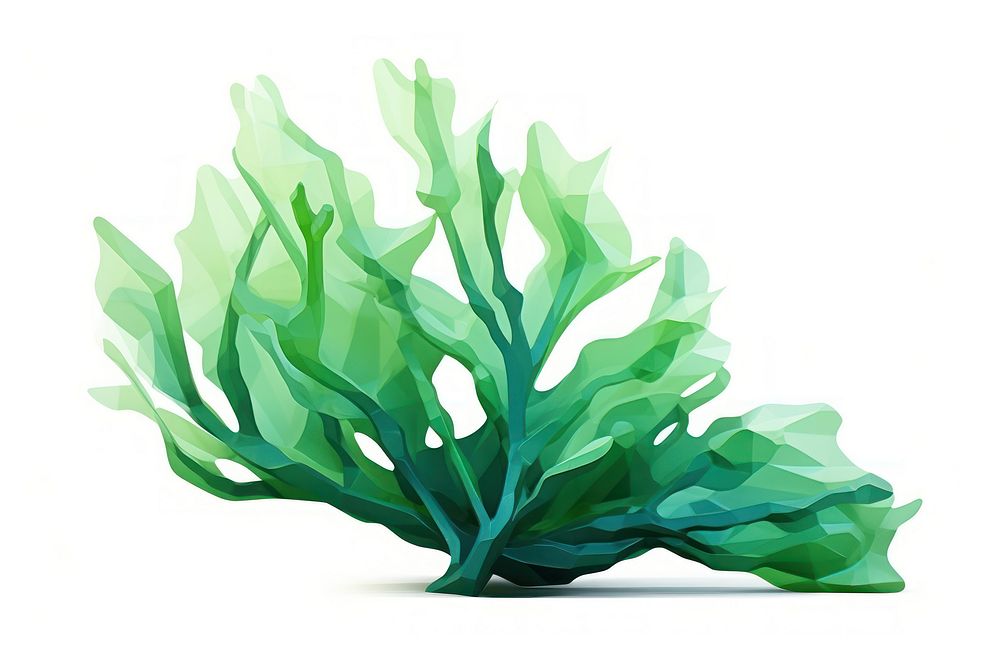 Seaweed plant green leaf. AI generated Image by rawpixel.