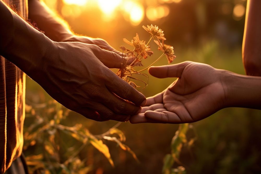 Hands holding sunset finger love. AI generated Image by rawpixel.