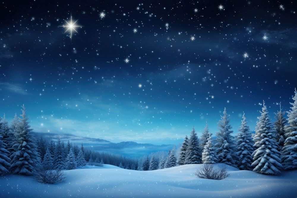 A beautiful Merry Christmas scene landscape night snow. 