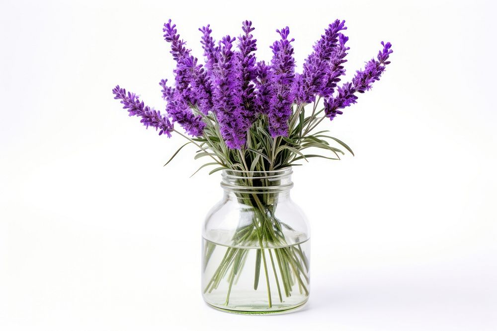 Lavender flower jar plant. AI generated Image by rawpixel.