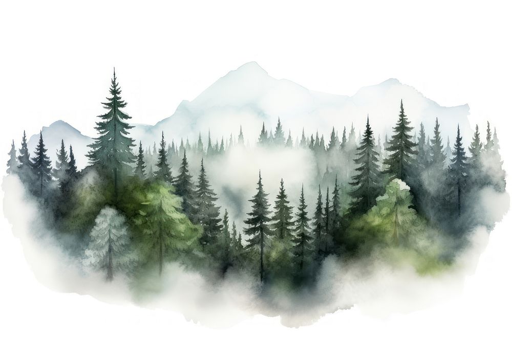 Watercolor foggy forest landscape illustration nature outdoors woodland. 