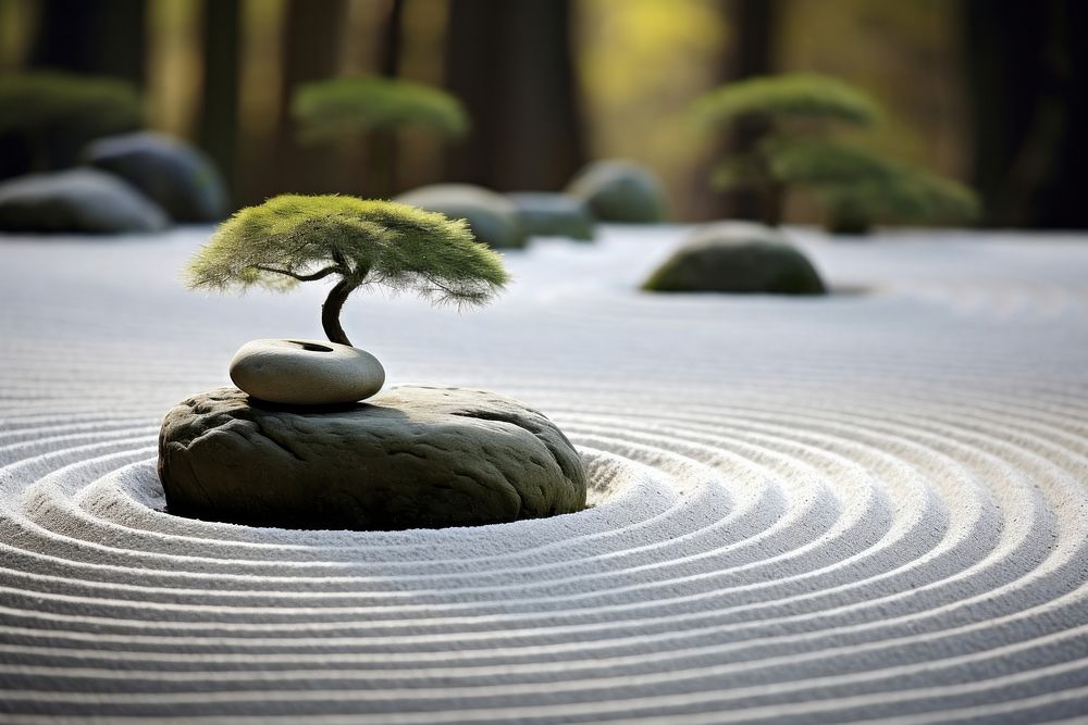 Zen garden outdoors nature plant. AI generated Image by rawpixel.