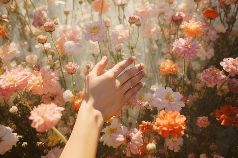 Women hand touching a flowers outdoors nature finger. AI generated Image by rawpixel.