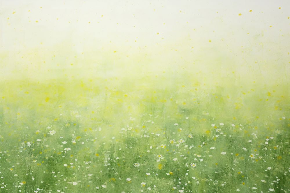 Impression daisy field backgrounds textured outdoors. 