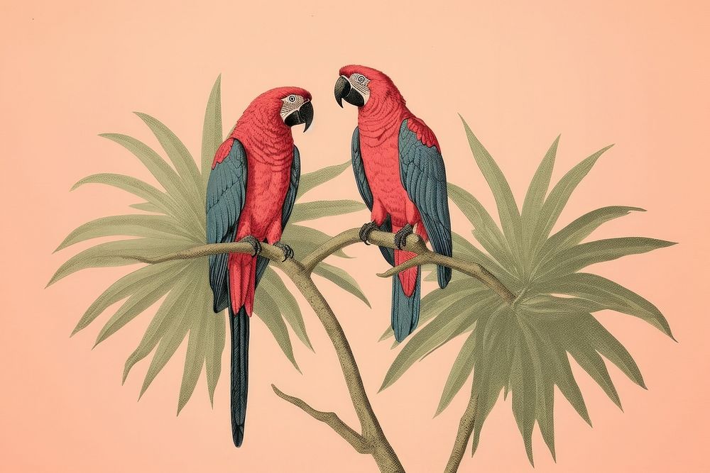 Exotic parrots in tropical animal bird red. AI generated Image by rawpixel.