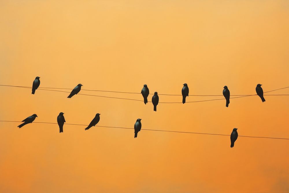 Impression flock of birds on wire outdoors animal nature. AI generated Image by rawpixel.
