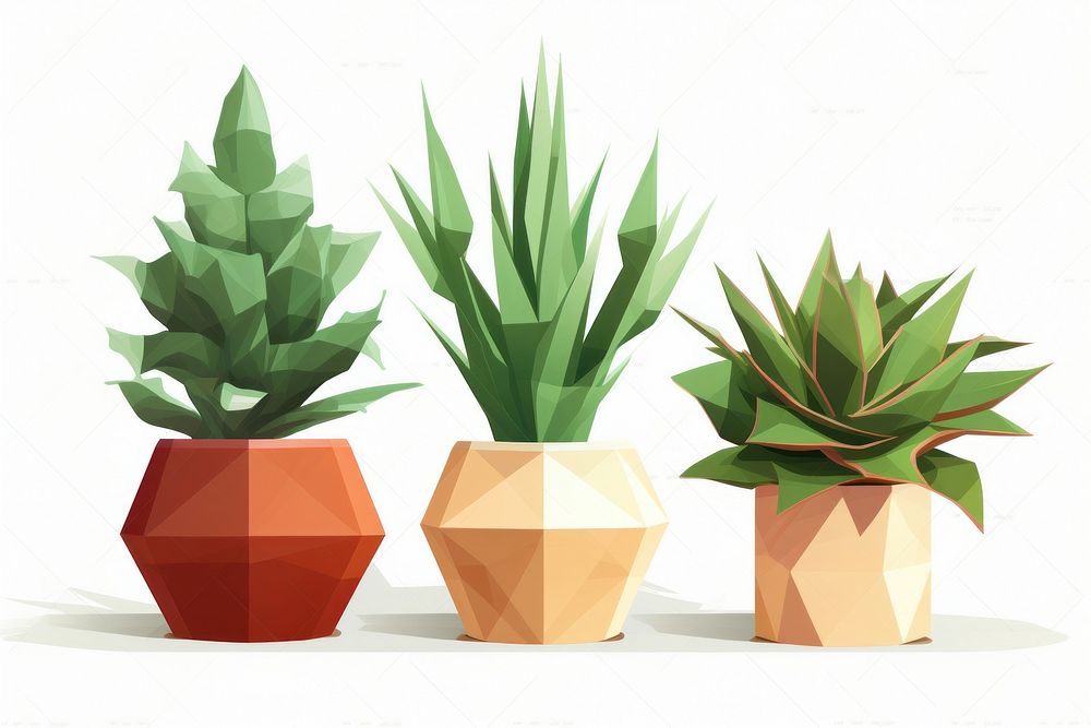 Potted plants bromeliaceae houseplant terracotta. AI generated Image by rawpixel.