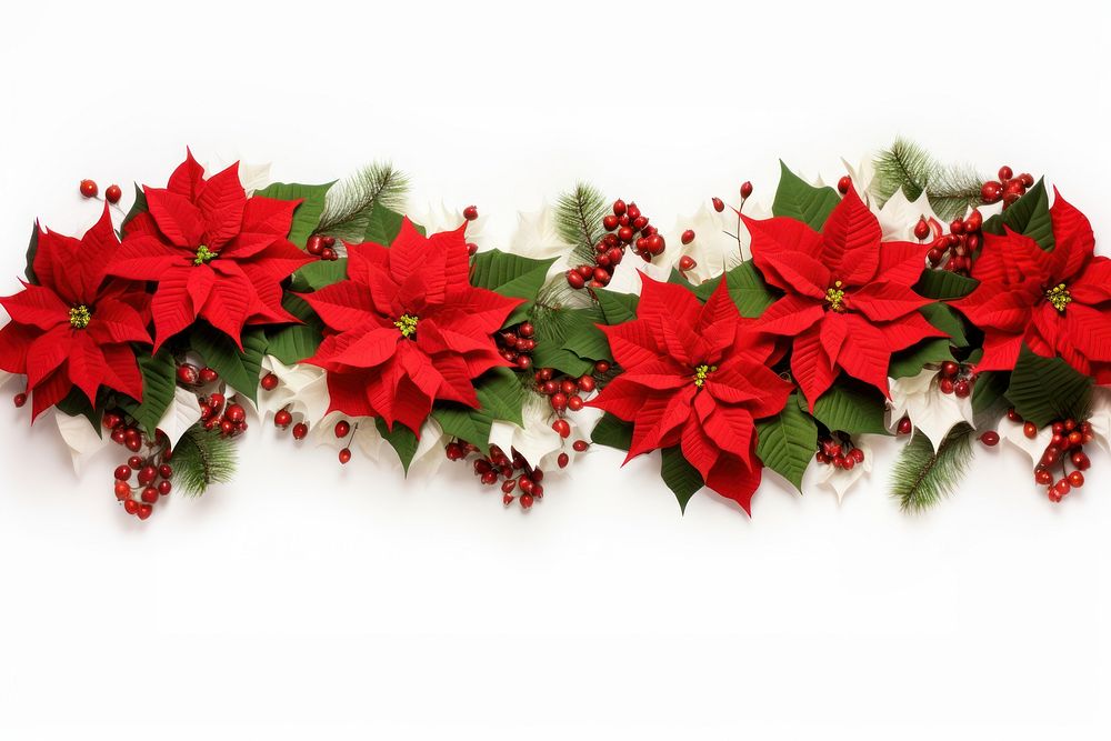 Christmas border flower christmas plant. AI generated Image by rawpixel.