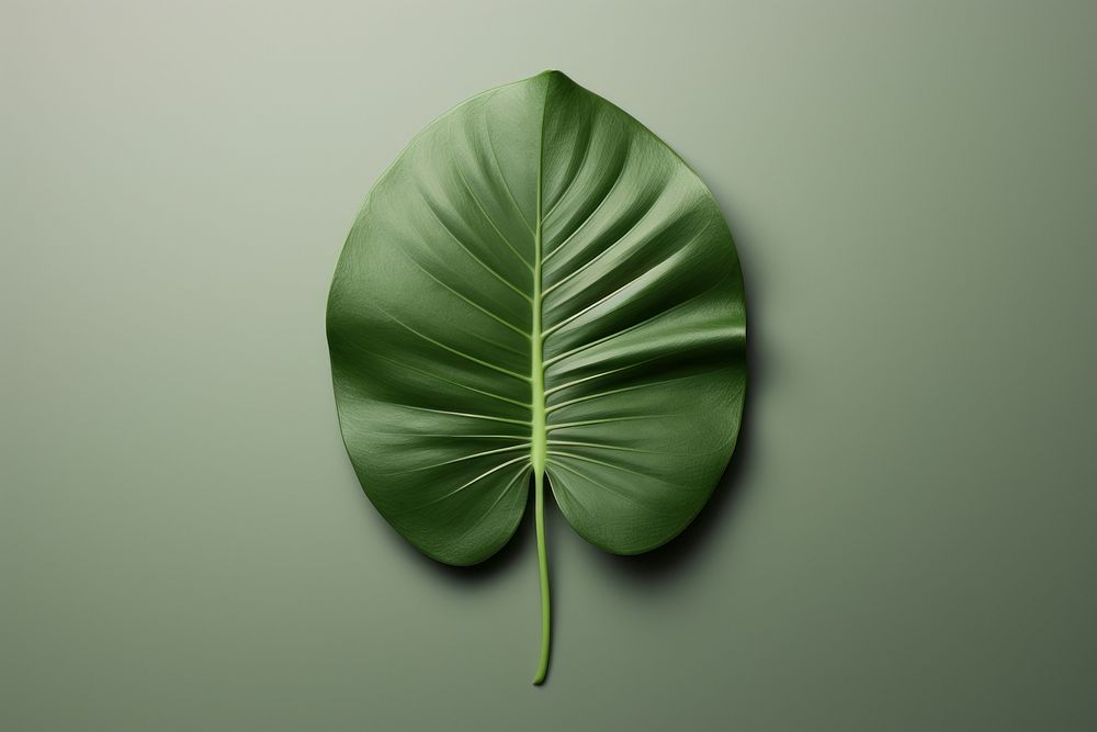 A tropical leaf plant green xanthosoma. AI generated Image by rawpixel.
