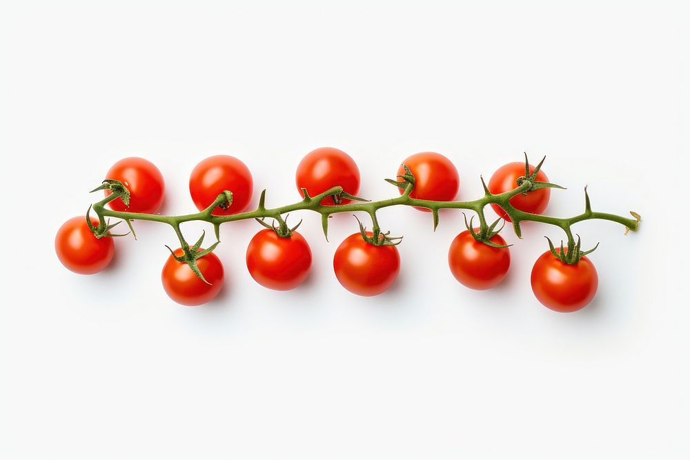 A minimal vine tomato vegetable fruit plant. AI generated Image by rawpixel.