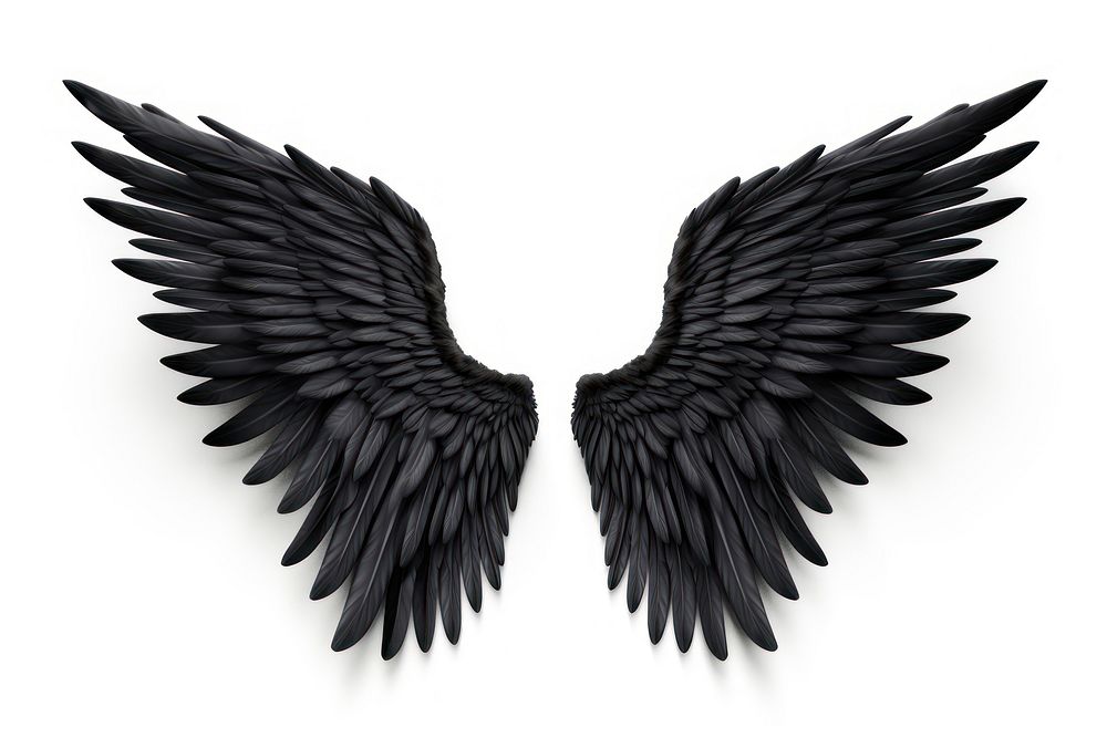 Black angel wing bird white background accessories. AI generated Image by rawpixel.
