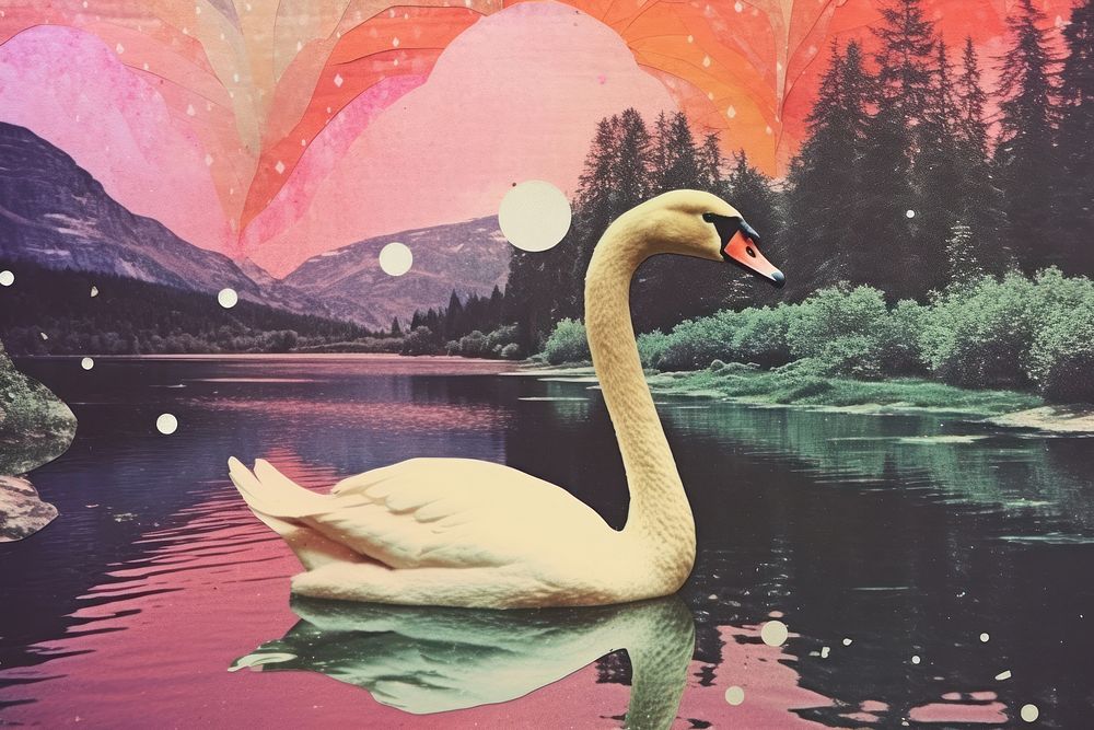 Swan lake outdoors animal. AI generated Image by rawpixel.