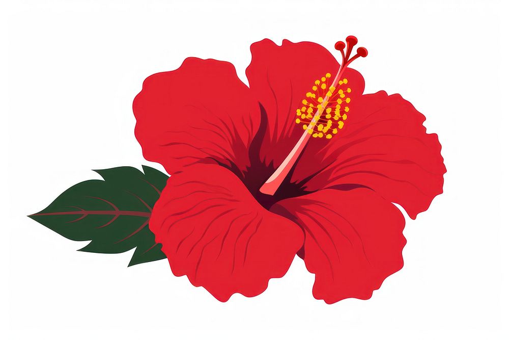 A red Hibiscus hibiscus flower plant. AI generated Image by rawpixel.