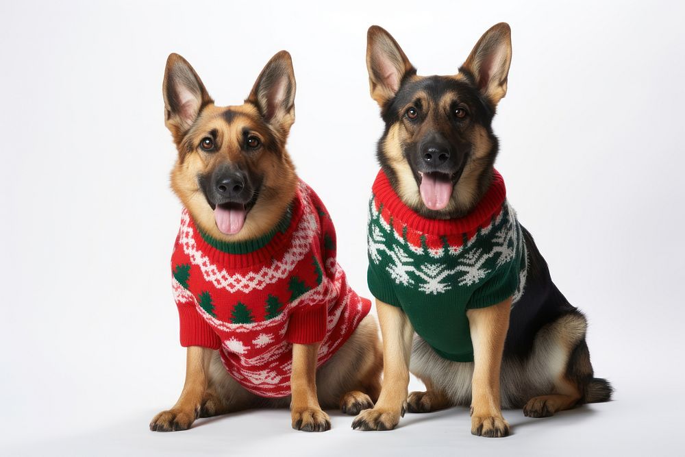 Sweater dog christmas mammal. AI generated Image by rawpixel.