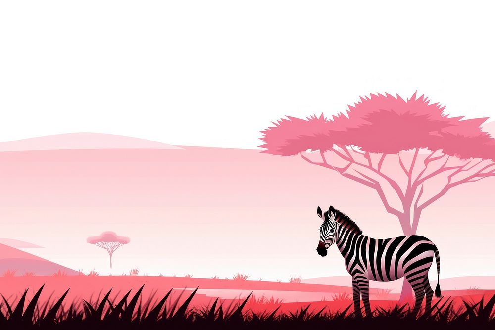 Zebra zebra grassland wildlife. 