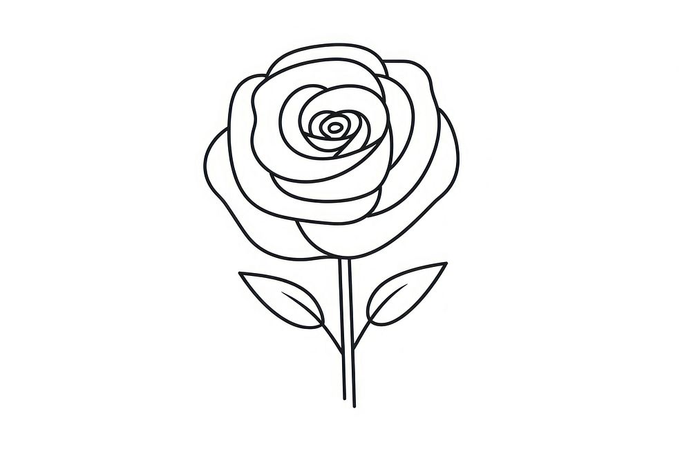Minimal illustration of rose drawing sketch flower. AI generated Image by rawpixel.