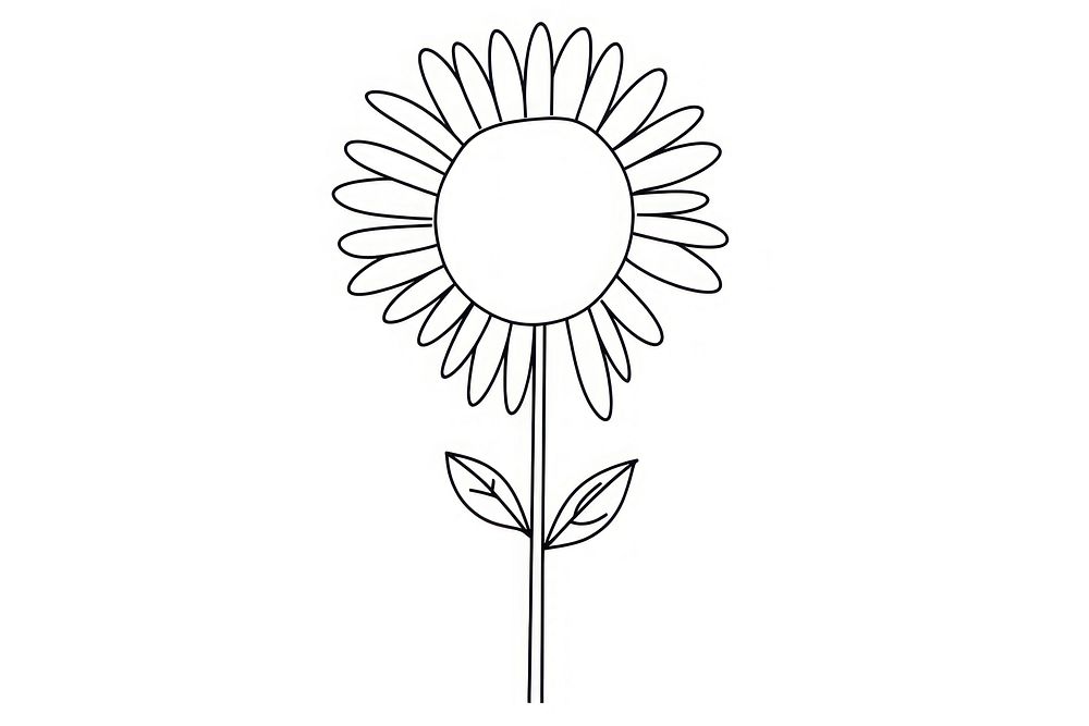 Minimal illustration of sunflower drawing sketch plant. AI generated Image by rawpixel.
