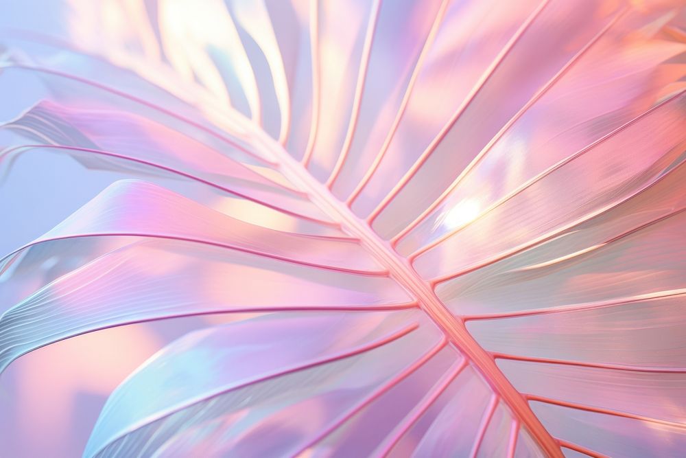 Palm leaf pattern petal plant. AI generated Image by rawpixel.