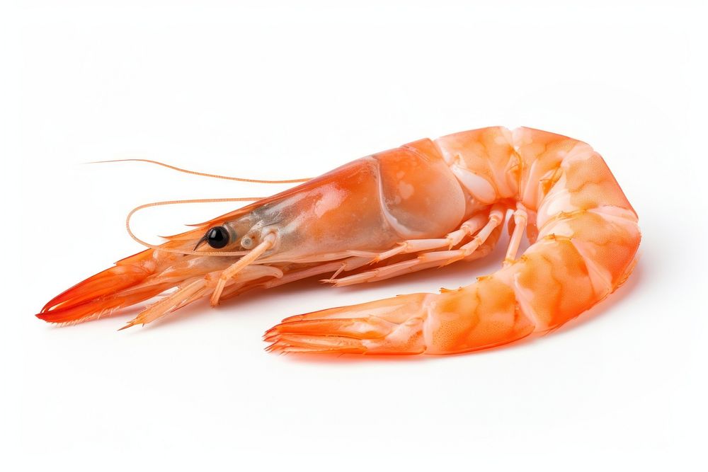 Tasty cooked shrimps lobster seafood animal. AI generated Image by rawpixel.